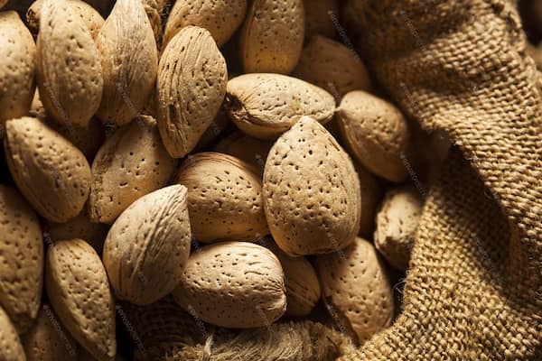 تصویر 5 از خرید و قیمت بادام مامایی با پوست  + فروش عمده